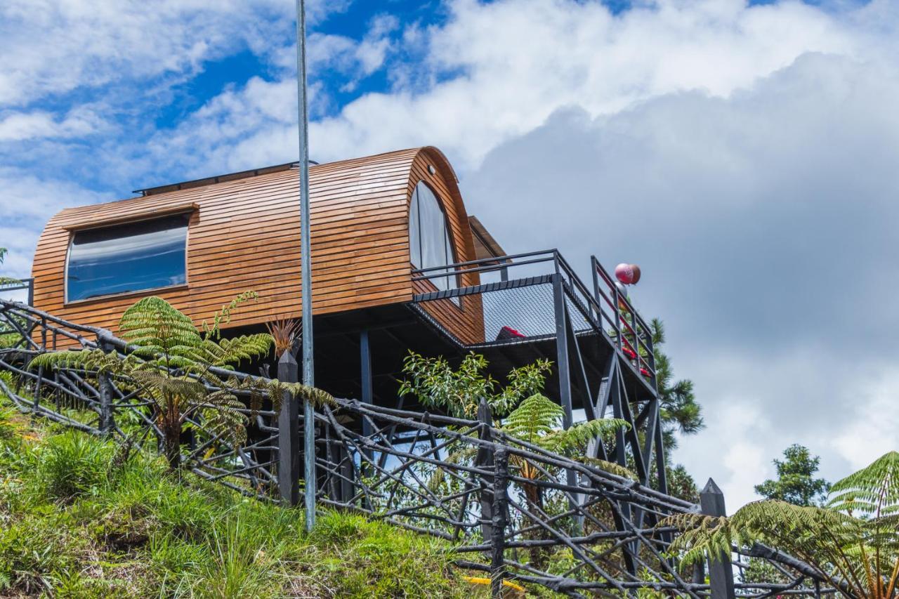 Glamping The Mountain *